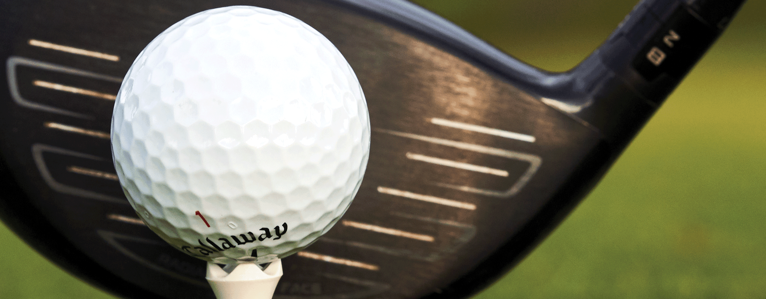 Golf Driver Fittings PGA TOUR Superstore