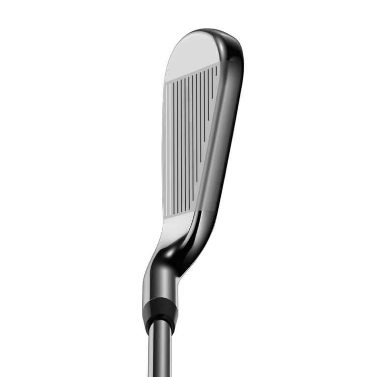 2020 rogue x irons review