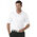 PGA TOUR Airflux Solid Performance Polo