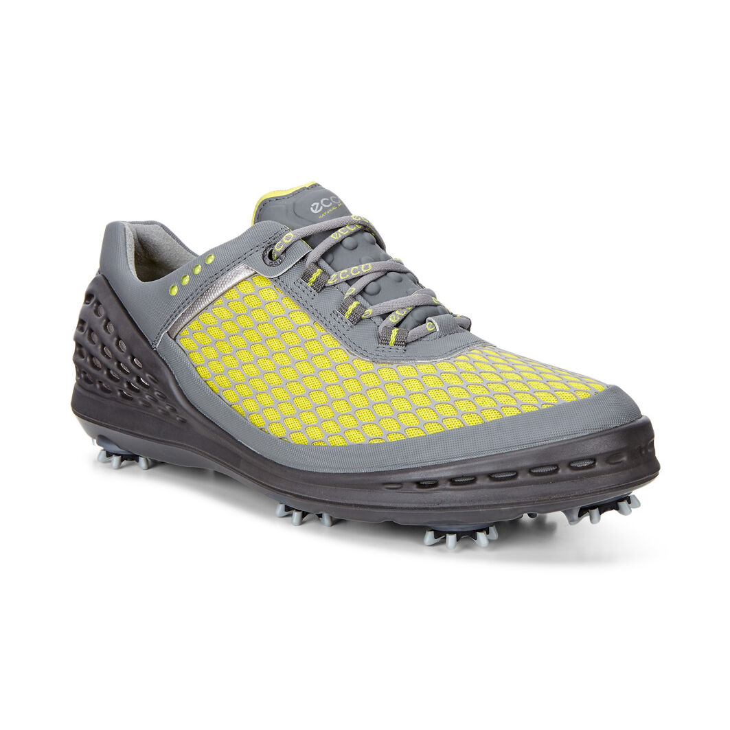 ecco mens cage evo