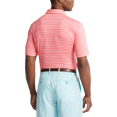 Alternate View 2 of Performance Thin Stripe Polo Shirt