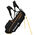 Black/Gold