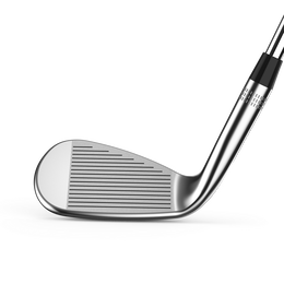 Staff Model Wedge