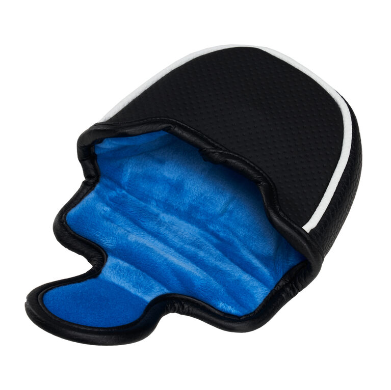 Odyssey 2Ball Ten Arm Lock Tour Lined Putter PGA TOUR Superstore