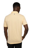 Alternate View 2 of Lot Of Pesos Polo