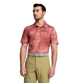 Cloudspun Dye Stripe Polo