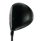 Alternate View 1 of Epic Max LS Driver