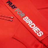 Alternate View 5 of Pray For Birdies Hoody