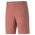 Dealer 8&quot; Short
