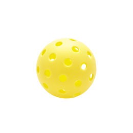 12 Pack Outdoor Pickleball Pack