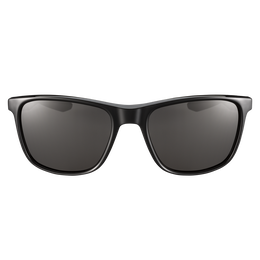 Endeavor Sunglasses