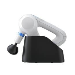 Elite Charging Stand