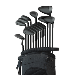 14-Piece Complete Set w/ Graphite Shafts