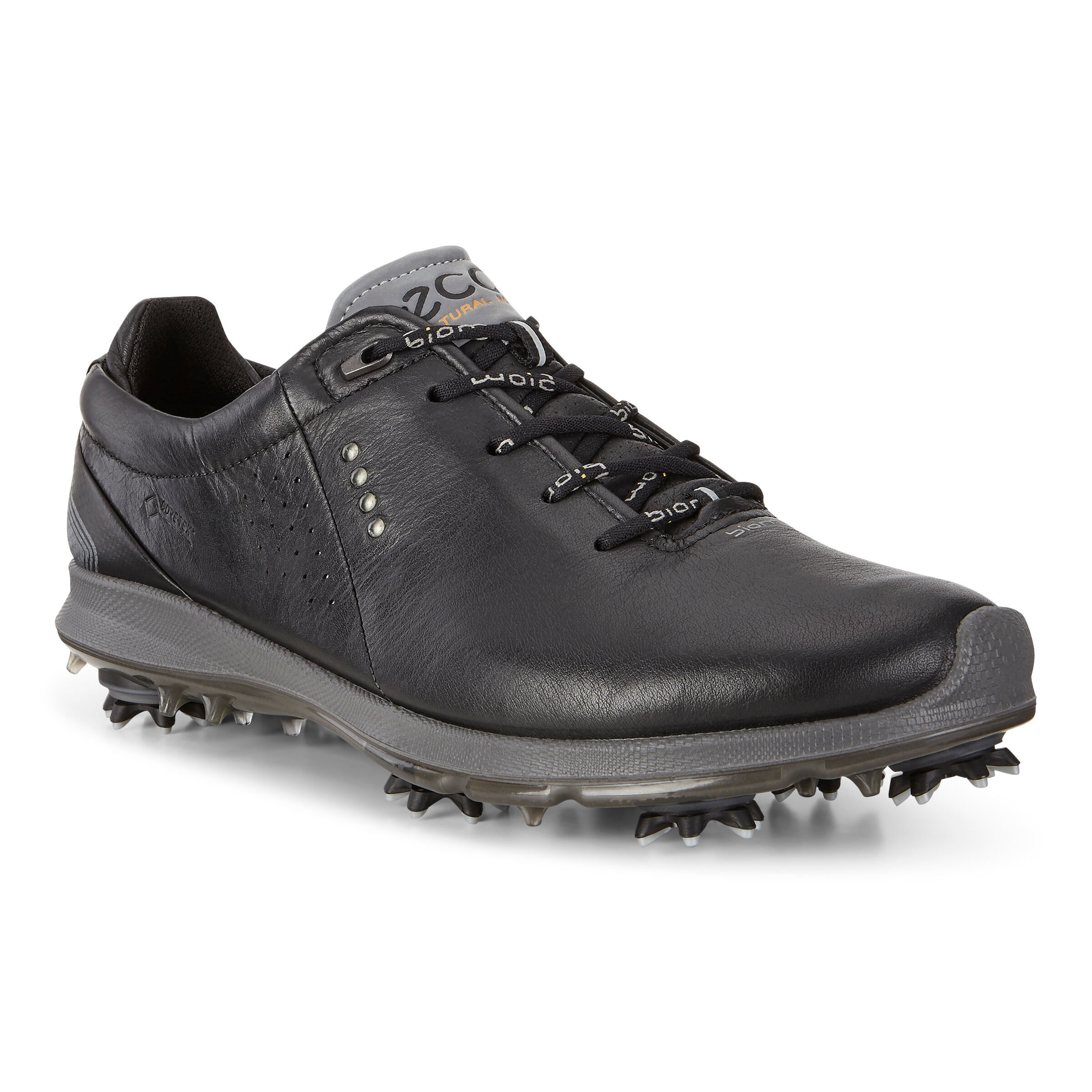 Ecco mens biom g 2 free gtx clearance