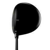 Alternate View 1 of TSi4 Driver