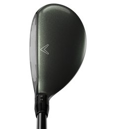 Great Big Bertha Hybrid