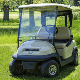 Golf Cart Shield