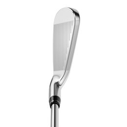 Apex DCB Irons w/ Steel Shafts