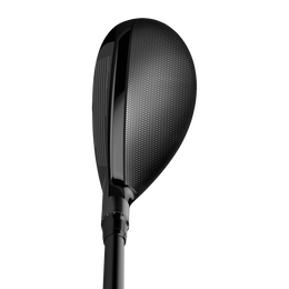 SIM2 Hybrid