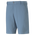 Dealer 8&quot; Short