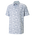 Grey/Aqua