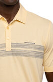 Alternate View 3 of Lot Of Pesos Polo