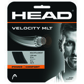 Head VELOCITY MLT 16 Gauge String - Natural