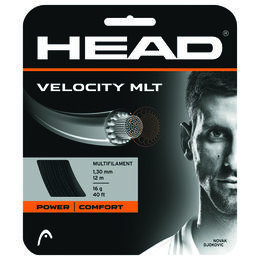 Head VELOCITY MLT 16 Gauge String - Natural