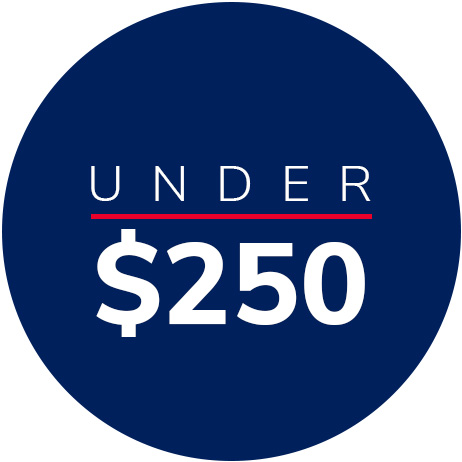 Gifts Under $250 graphic