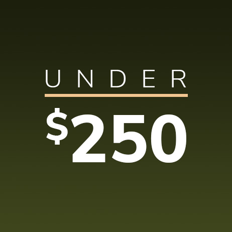 Gifts Under $250 graphic