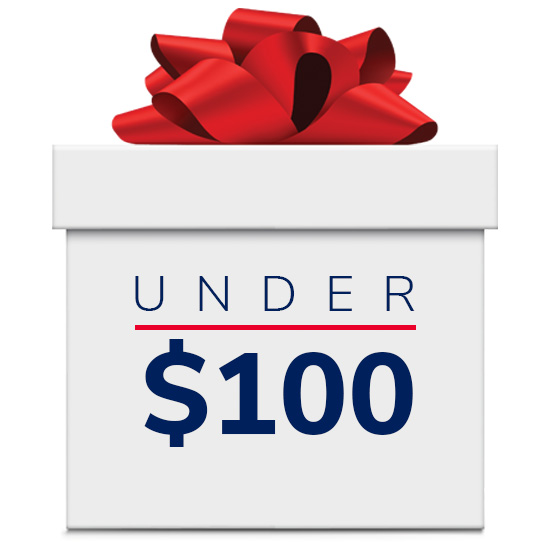 Gifts Under $100 graphic