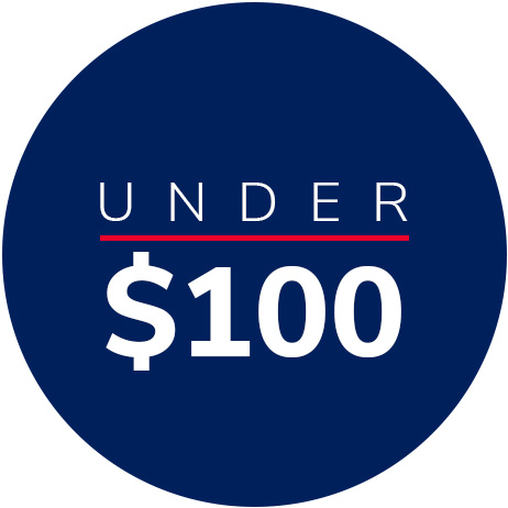 Gifts Under $100 graphic