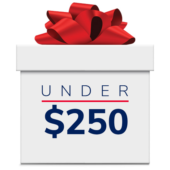 Gifts Under $250 graphic