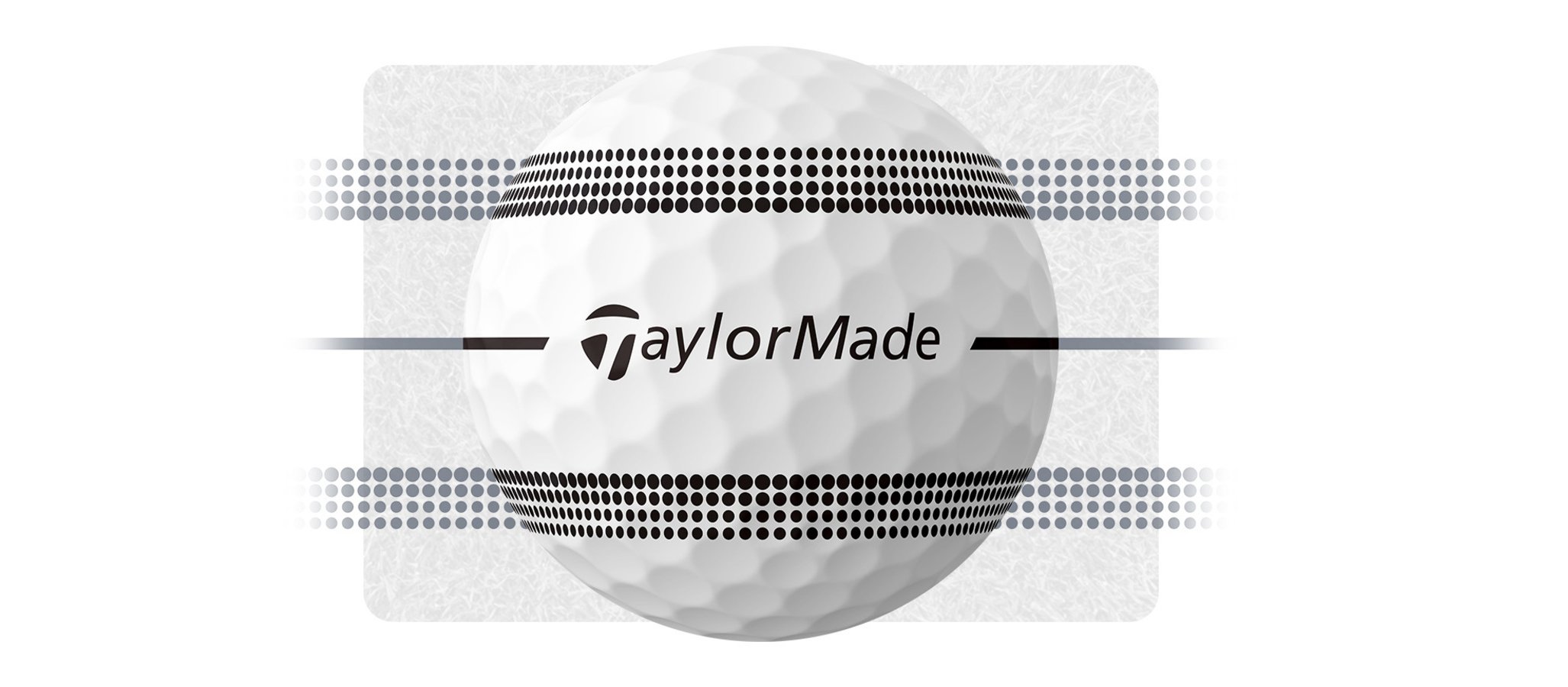 TP5 Stripe