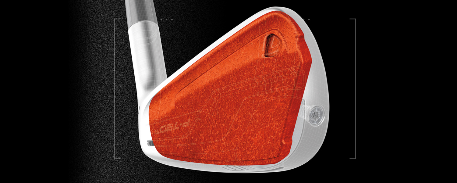 TaylorMade P790 Ti Speedfoam