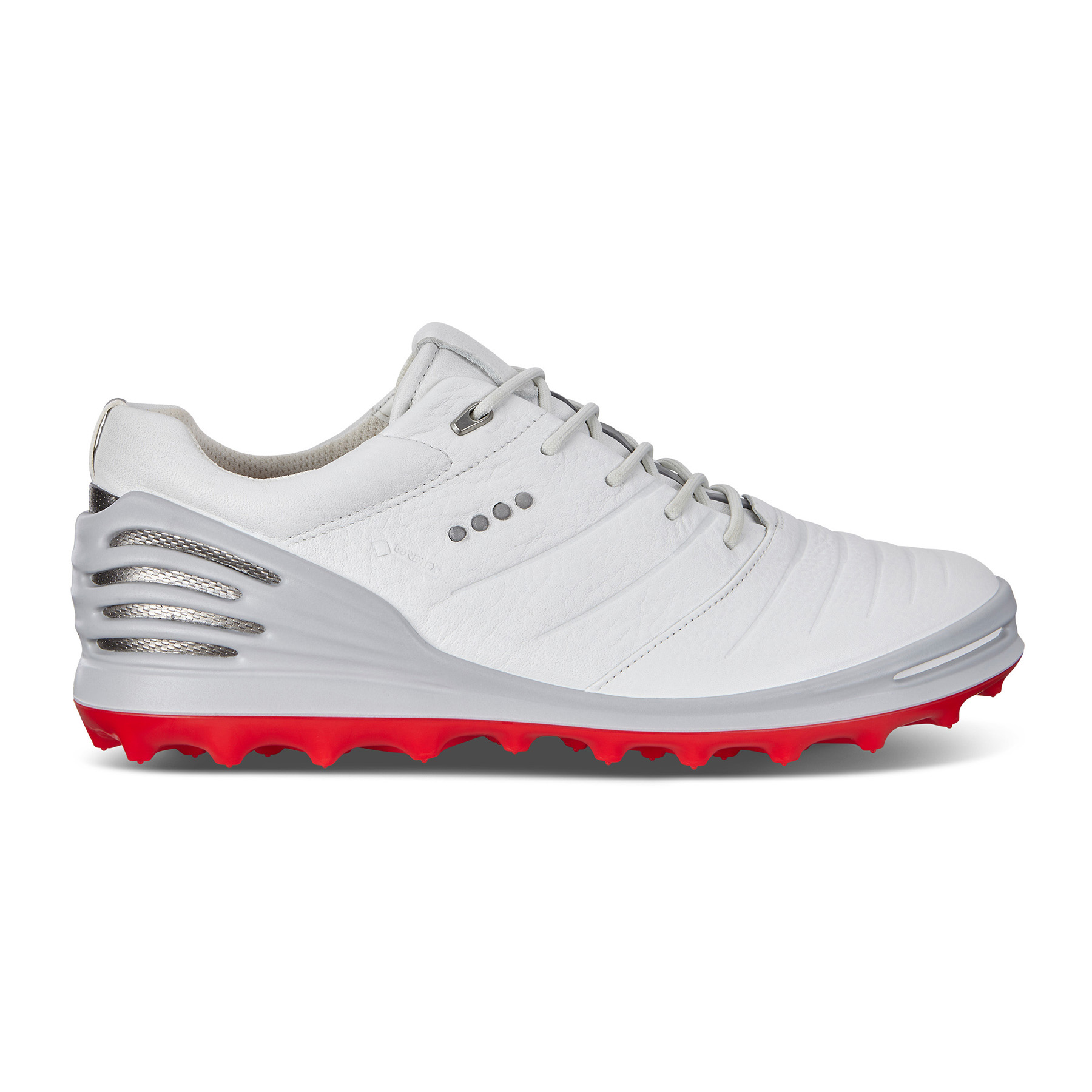 ECCO Cage Pro GTX 2 Men's Golf Shoe 