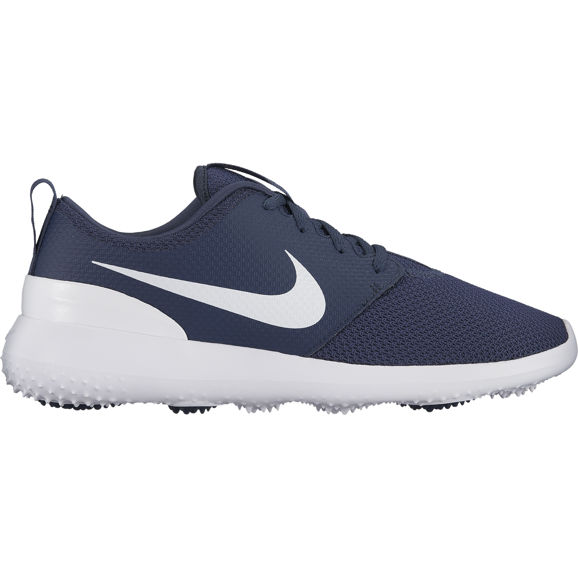 blue and white roshe runs