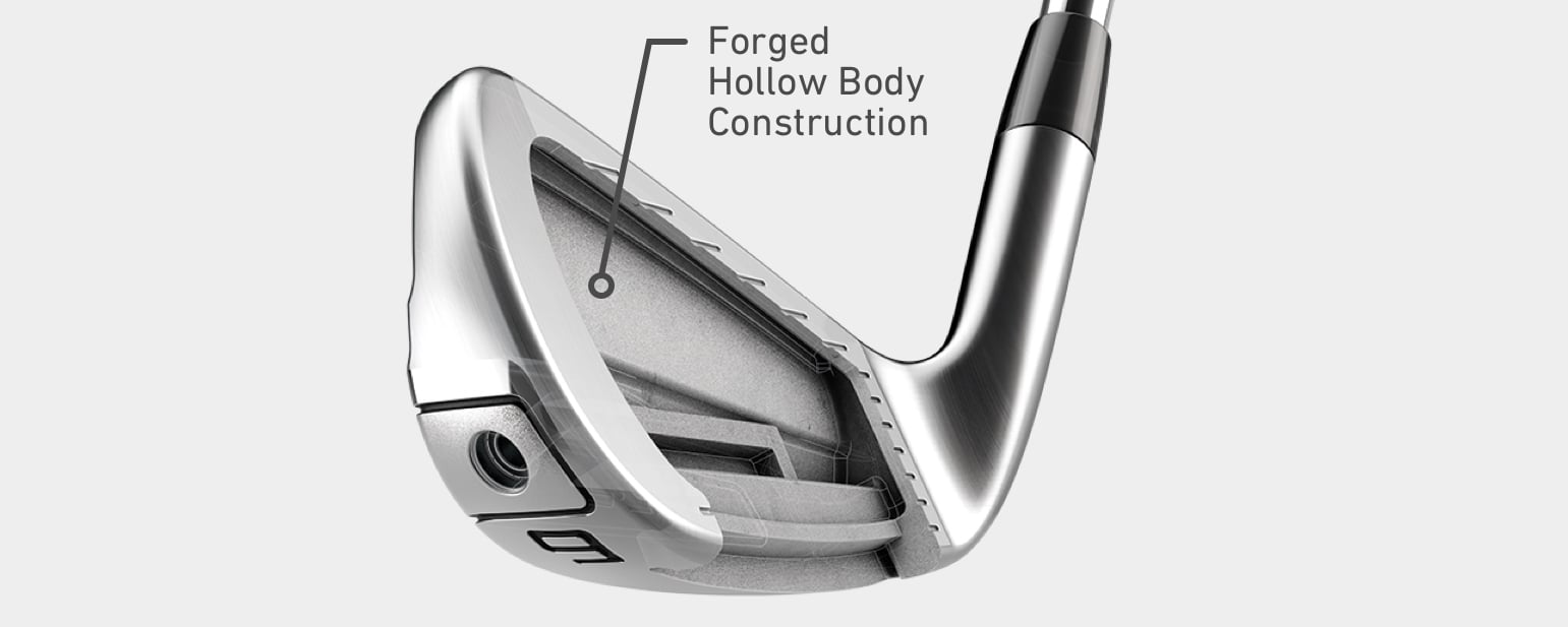 TaylorMade P790 Hollow Body