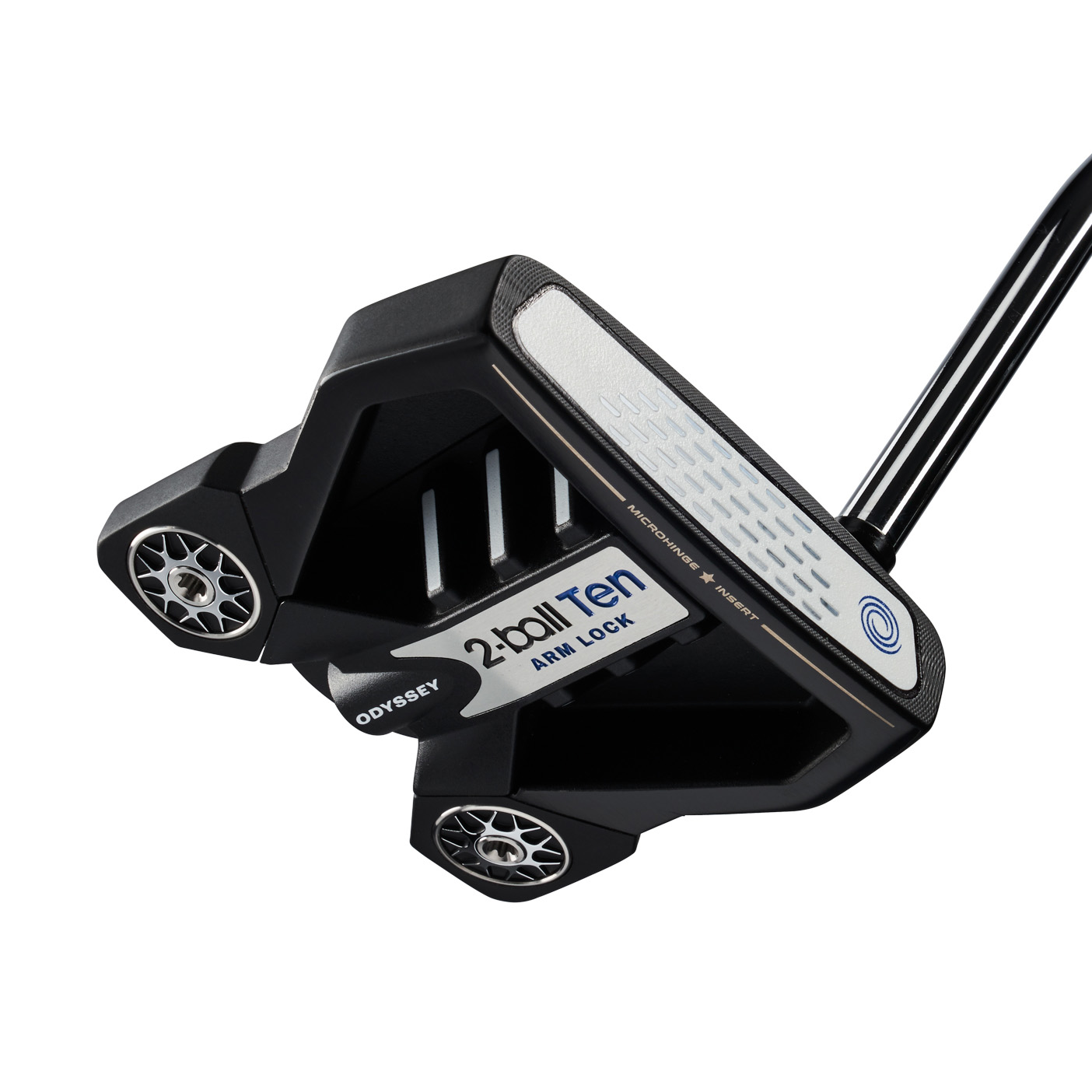 2-Ball Ten Arm Lock Tour Lined Putter